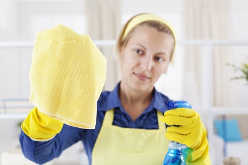 Hot water extraction process used in steam carpet cleaning