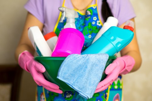 Fresh pet stain odour removal on carpet with cleaning supplies