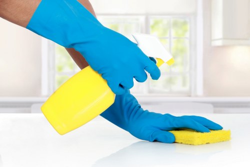 Technician performing steam carpet cleaning