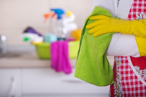 Kitchen surface stain removal and cleaning tools