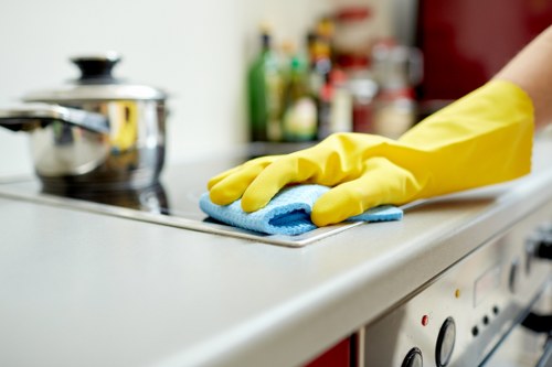 Enzyme cleaner being used for pet odour treatment