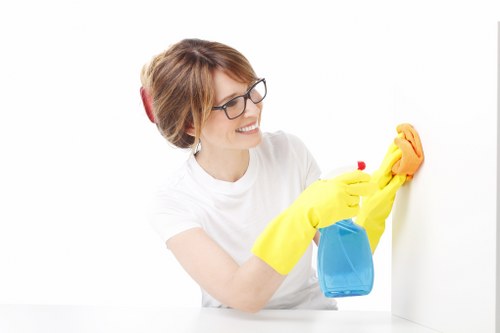 Close-up of carpet stain removal and deep cleaning