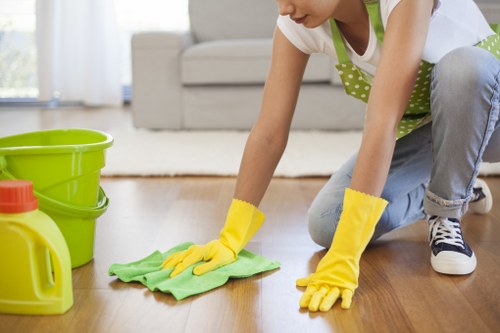 Carpet cleaning process for removing pet stains and smells